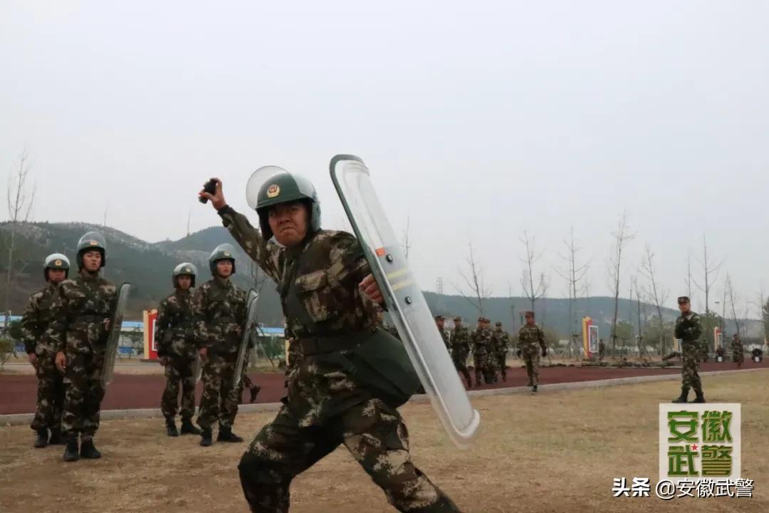 除了长得好看的，这些“专业的”也上交国家了！