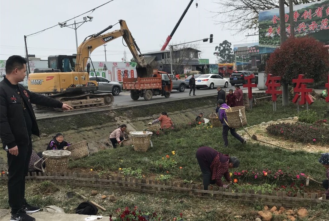 东坡区望苏村：提升人居环境 再添美丽秀色