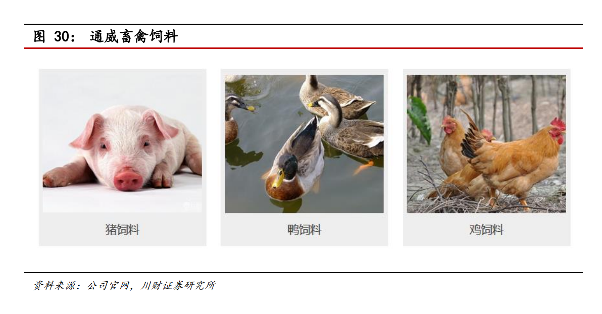 通威股份专题研究：硅料、电池片两翼齐飞，成本技术优势领先