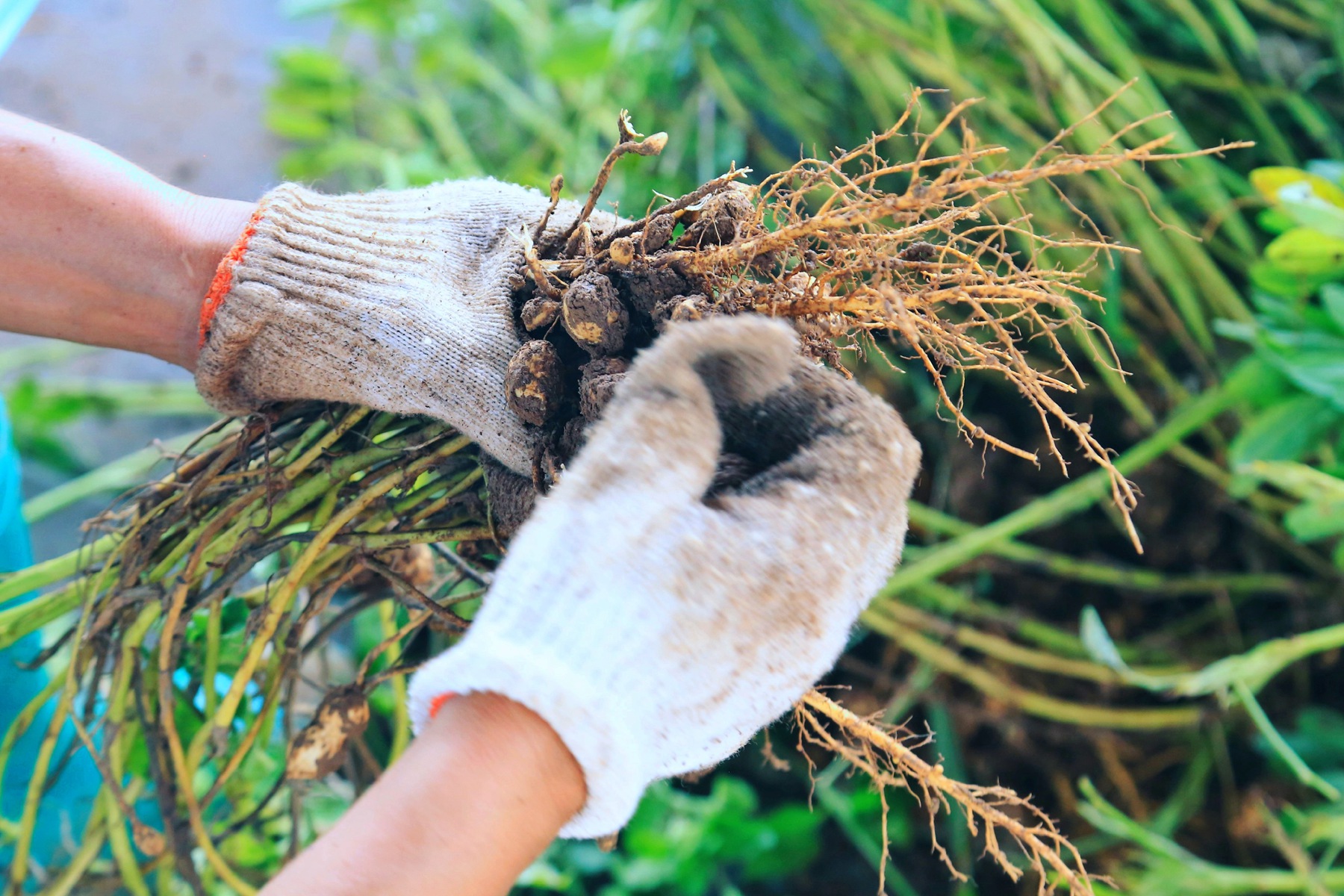 京郊密云小众亲子游，回归田园拥抱自然的超嗨假期