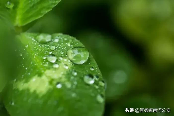 诗词丨100首唯美春日古诗词：花已初开，愿君常在-第5张图片-非凡网