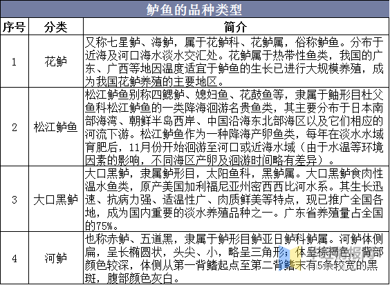 中國鱸魚養(yǎng)殖產(chǎn)量、區(qū)域分布及發(fā)展趨勢(shì)分析，優(yōu)質(zhì)苗種需求量巨大