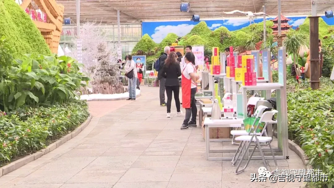 第三届东北亚中医药暨康养产业博览会今日启幕，线上线下同步进行