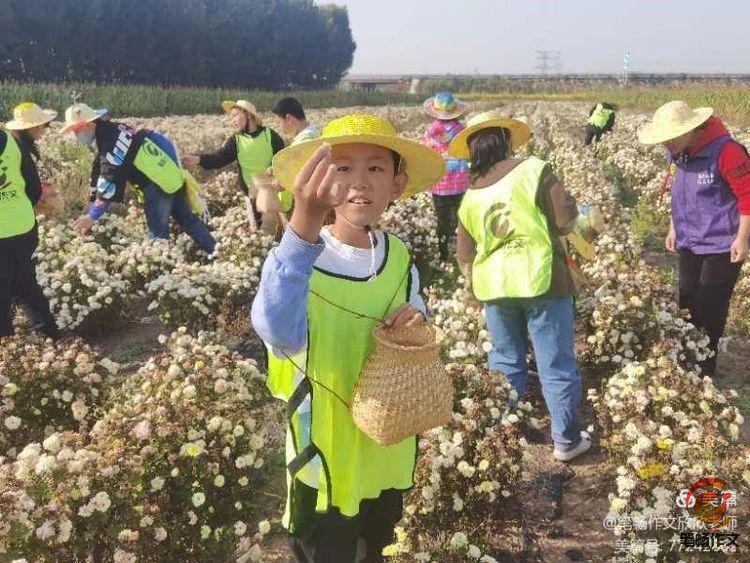 笔畅作文2020户外优秀活动展评——河北唐山遵化校区活动展示