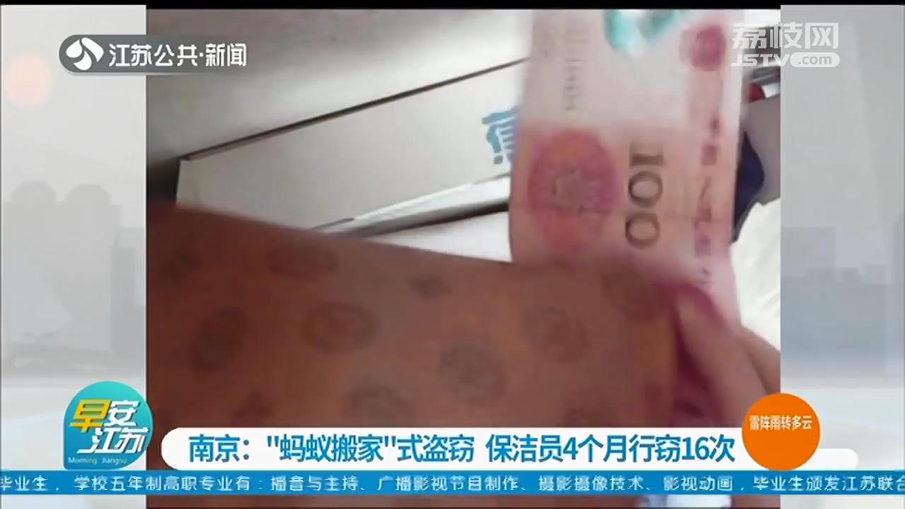 “蚂蚁搬家”式盗窃 南京一保洁员4个月行窃16次