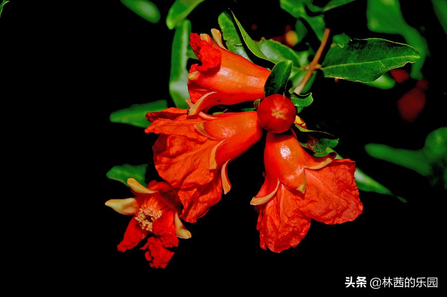 最经典的16首关于端午的诗词，情真意切，值得收藏-第5张图片-非凡网