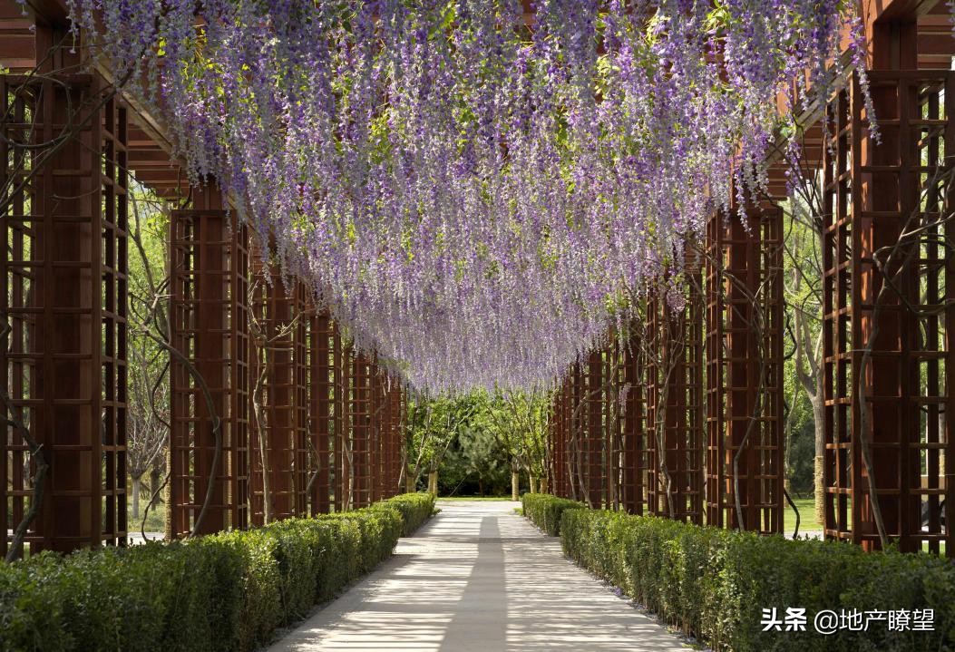 音乐盛事｜亚洲国际爱乐顶级交响乐艺术家献演