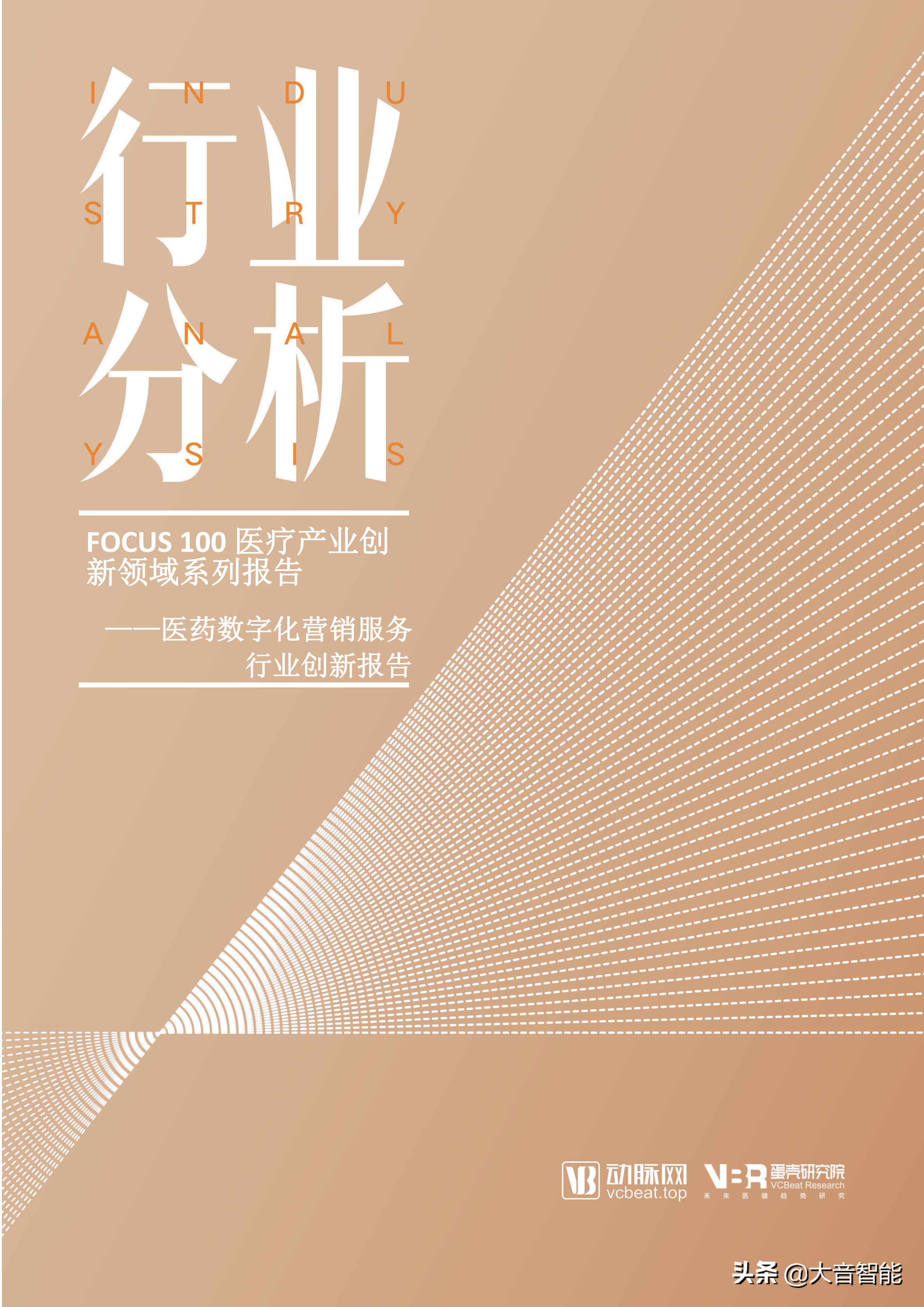 智慧医疗项目总结：医药数字化营销服务行业创新报告