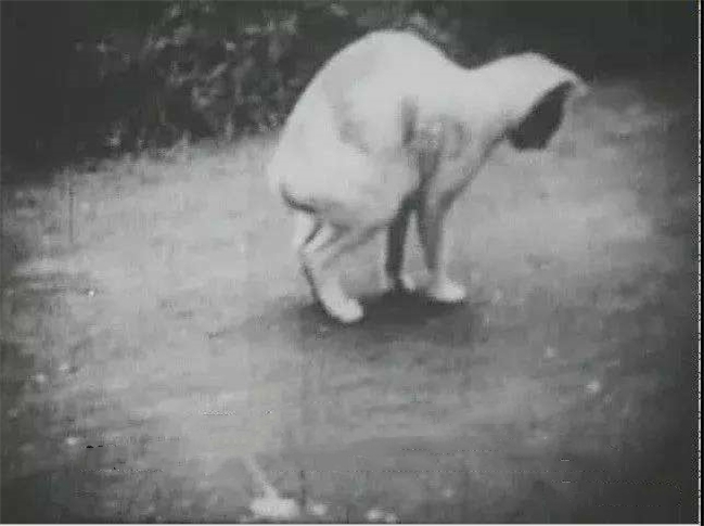 1952꣬5f(wn)ֻ؈wԚ[ʲô