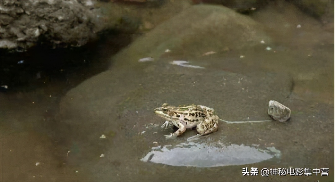 金基德：用春夏、秋、冬完美诠释生命、欲望、