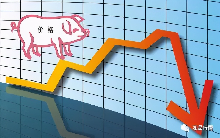 全国猪价暴跌！生猪连跌12周！专家：拐点在12月