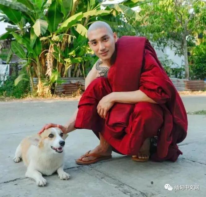 “救救缅甸！”缅甸政变后，缅甸娱乐圈有明星