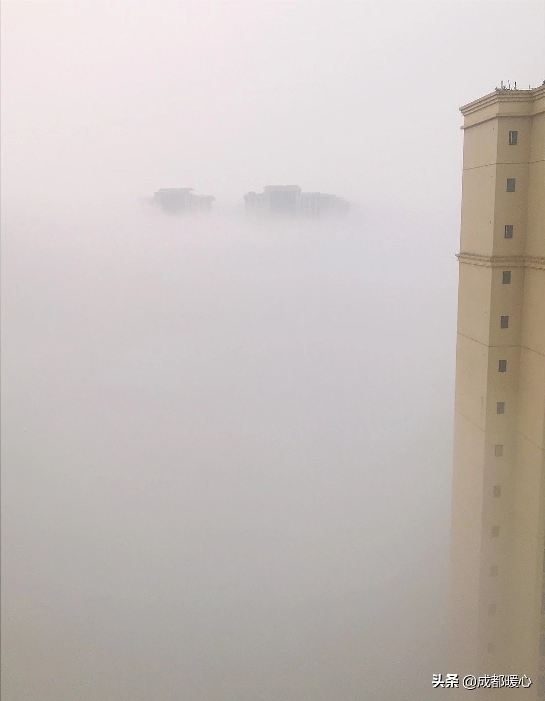 Atlas | Today's Chengdu suits Xiu Xian, big mist diffuses