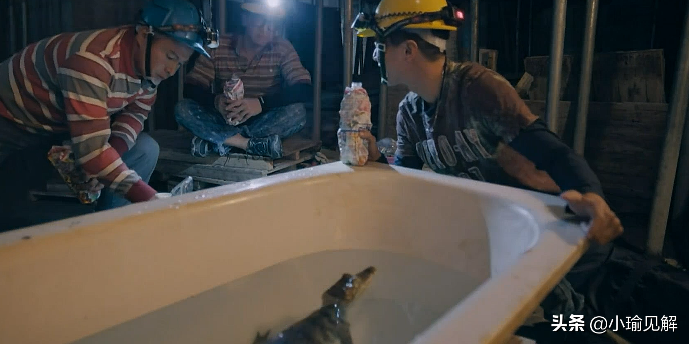 2020年首部9分剧集，值得看