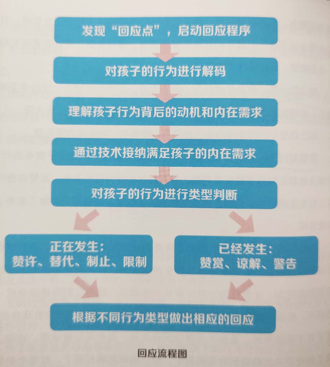 智慧的家长，懂得通过“正面回应”，来培养孩子积极的行为习惯