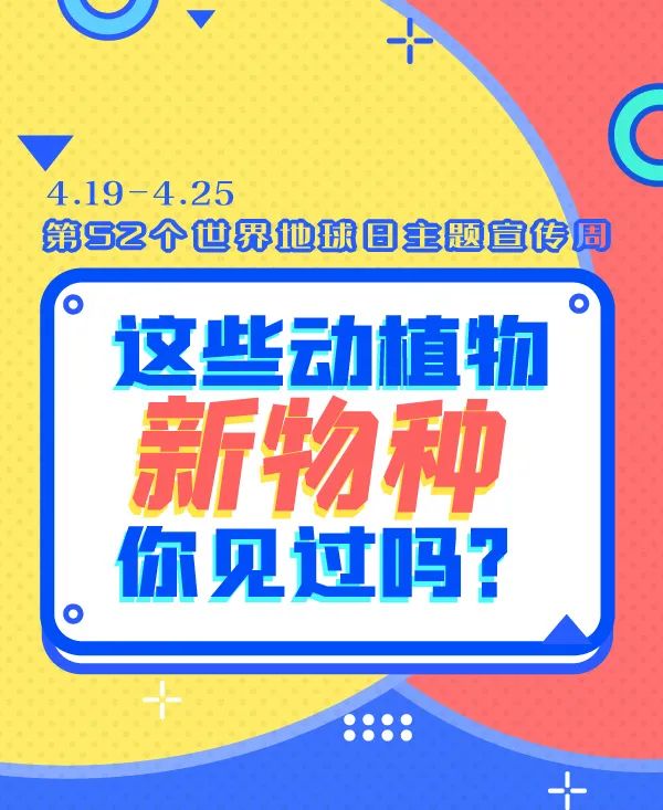 誰還不是個“小可愛”！這些動植物新物種你見過嗎？