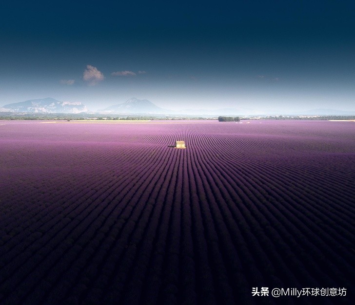 Can let force disease patient to feel 20 pieces of very slow photographs