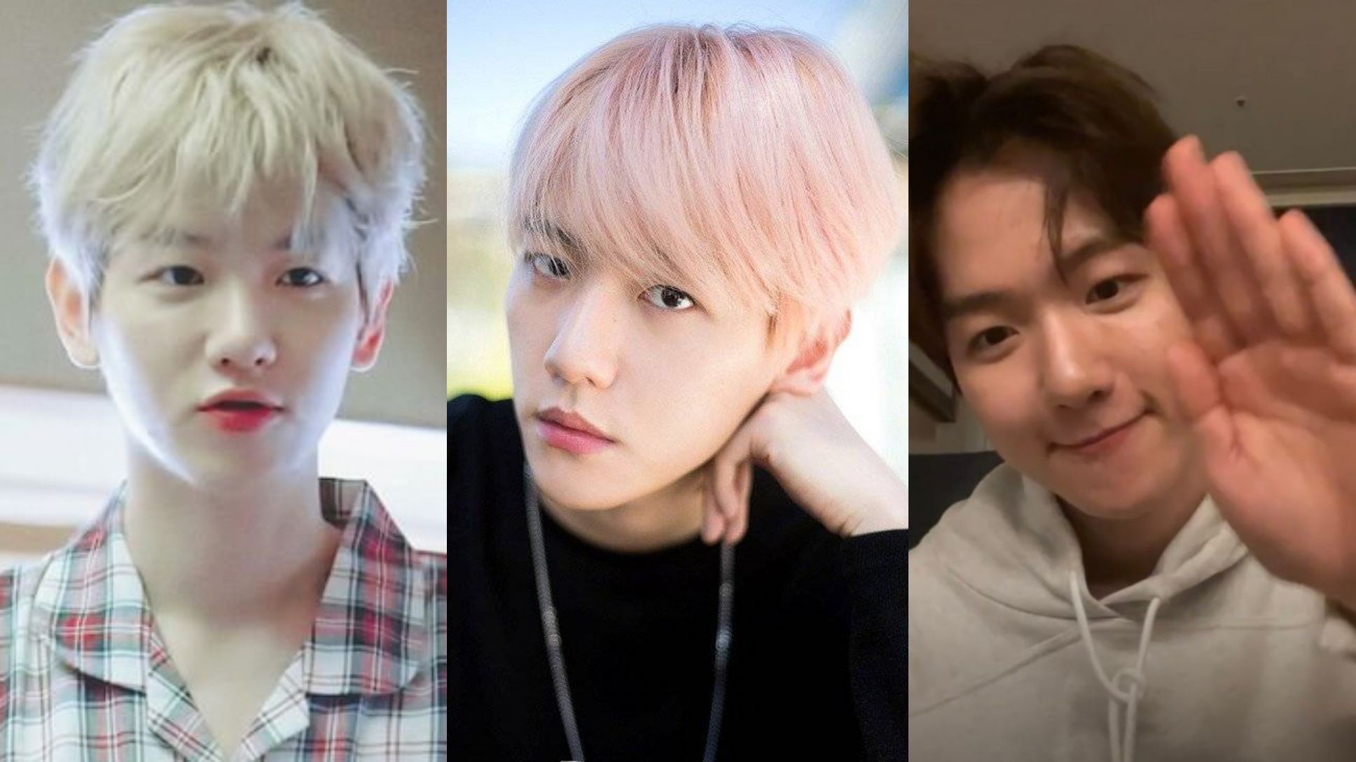 Is Bai Xian enrollment exceeded however 1000? Judge? Interrogative, conceal illness within an inch of to did not go out to still take drug with EXO