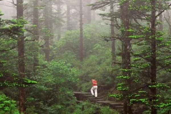 “黄泉路”竟真实存在！已被封锁禁止进入，专