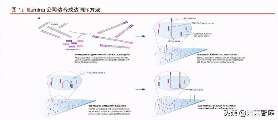 癌症检测行业深度研究报告：液体活检，千亿级癌症检测蓝海