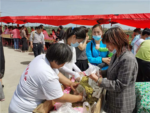 河南孟津朱庄村：碾馔，磨出来的乡愁