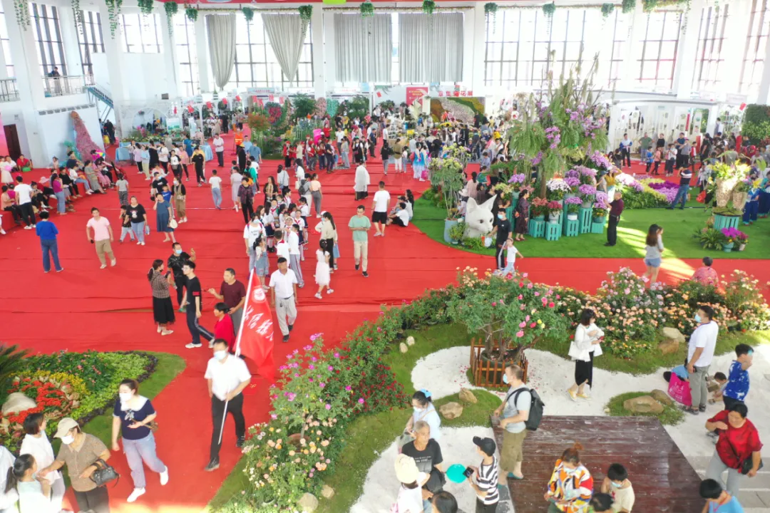 沭阳花木节“花卉园艺展”，沭阳人必去的网红“打卡”圣地