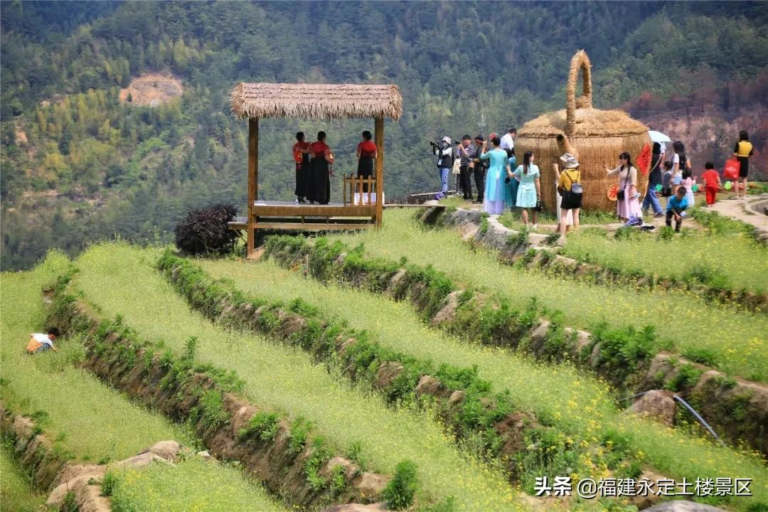 阳春三月 · 永定初溪土楼赴一场春之约