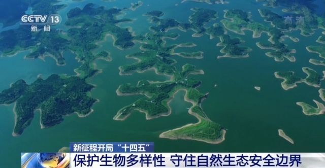 新徵程開局十四五丨保護生物多樣性守住自然生態安全邊界