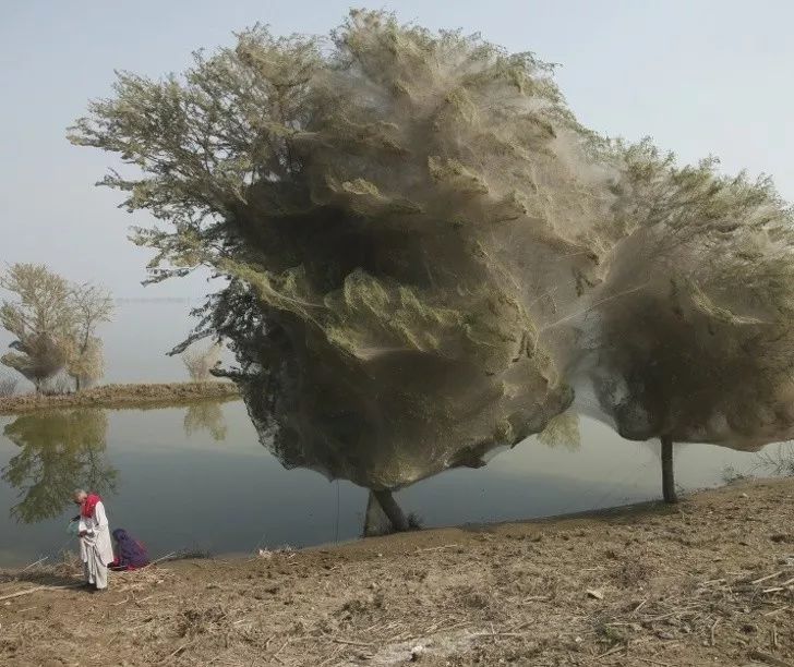 科技趣闻：这20个地球上的“外星场景”，也许你一辈子都没见过-第2张图片-大千世界