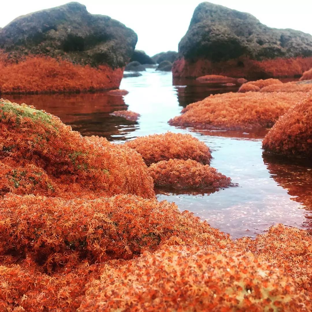 科技趣闻：这20个地球上的“外星场景”，也许你一辈子都没见过-第9张图片-大千世界