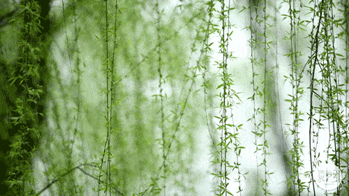 适宜春天读的诗词-第3张图片-非凡网