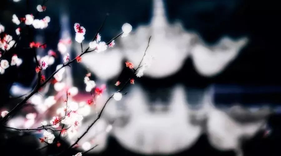 这10首诗词写尽冬天的美！快收藏了读给孩子听~-第4张图片-非凡网