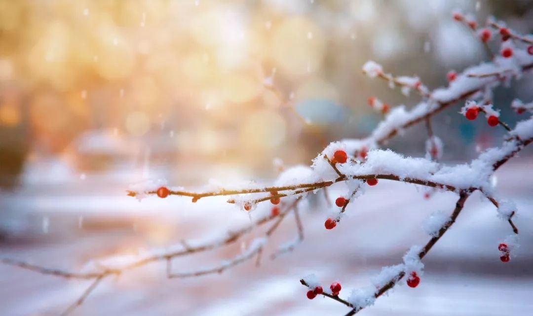 冬天的美-第9张图片-诗句网