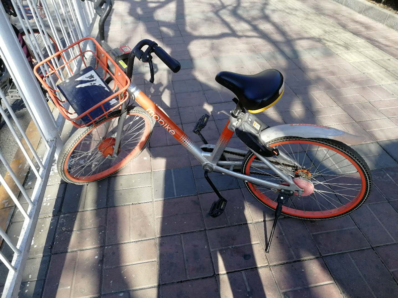 扫码骑车：改变城市出行的新风尚