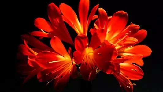 二十八|知否知否大年二十八要做这件事！这些新年禁忌你都知道吗？