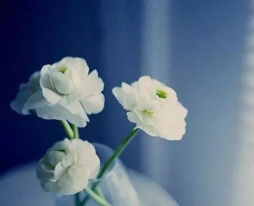 这些老歌，承载了多少人青春年华的美好回忆