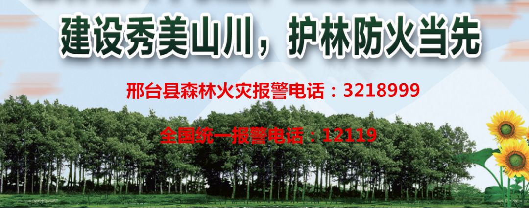 铭记历史,缅怀先烈