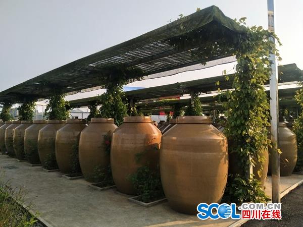 隆昌县石燕桥镇公社陶厂