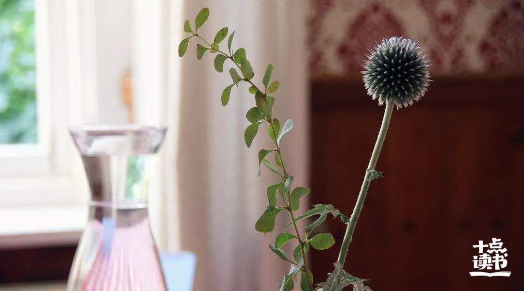 人性最大的恶，是不懂感恩