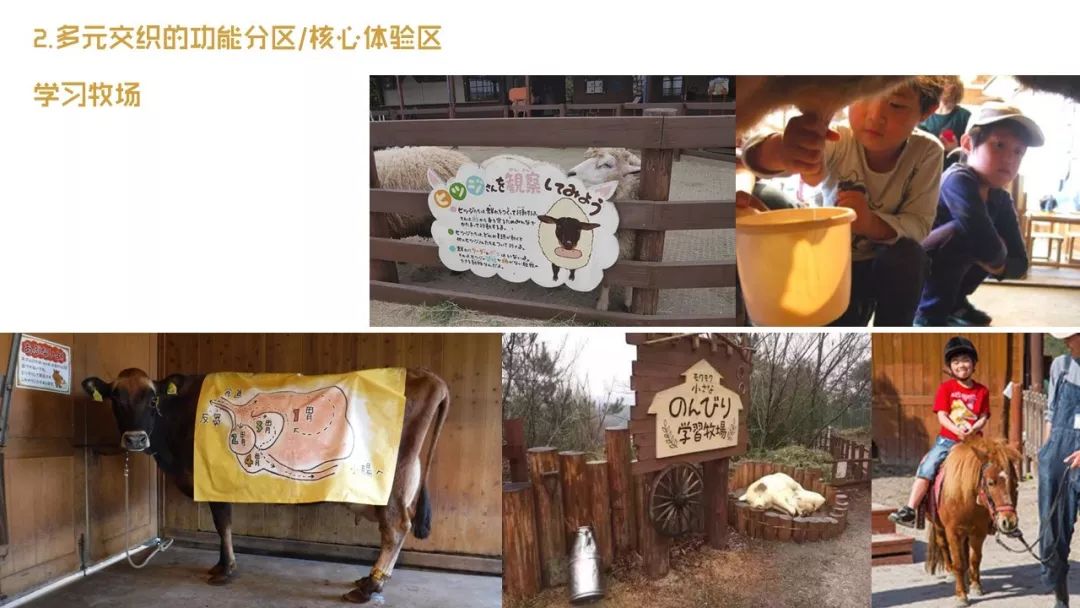 日本休閑農(nóng)業(yè)教育探尋：戶外自然教室中的趣味教具與設(shè)施設(shè)計