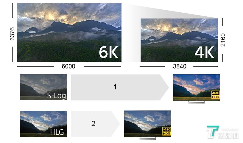 可以媲美中画幅的高像素新标杆，索尼Alpha 7R IV实拍体验 | 钛极客