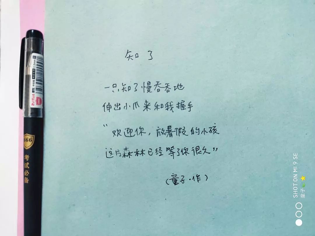 35首夏日短诗，诗短情长，字字清凉-第33张图片-非凡网