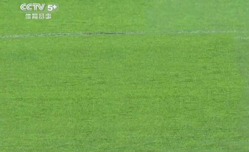 俱乐部|江苏足球俱乐部停运原因 一起来看看