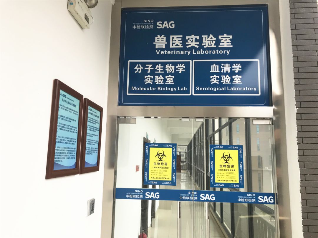 戮力同心，携手共进——走访非洲猪瘟检测第三方机构：广西民生中检联检测有限公司