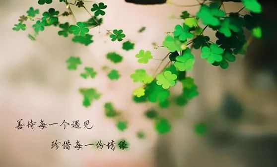 「诗歌」感谢生命中有你/李翠贤-第3张图片-非凡网