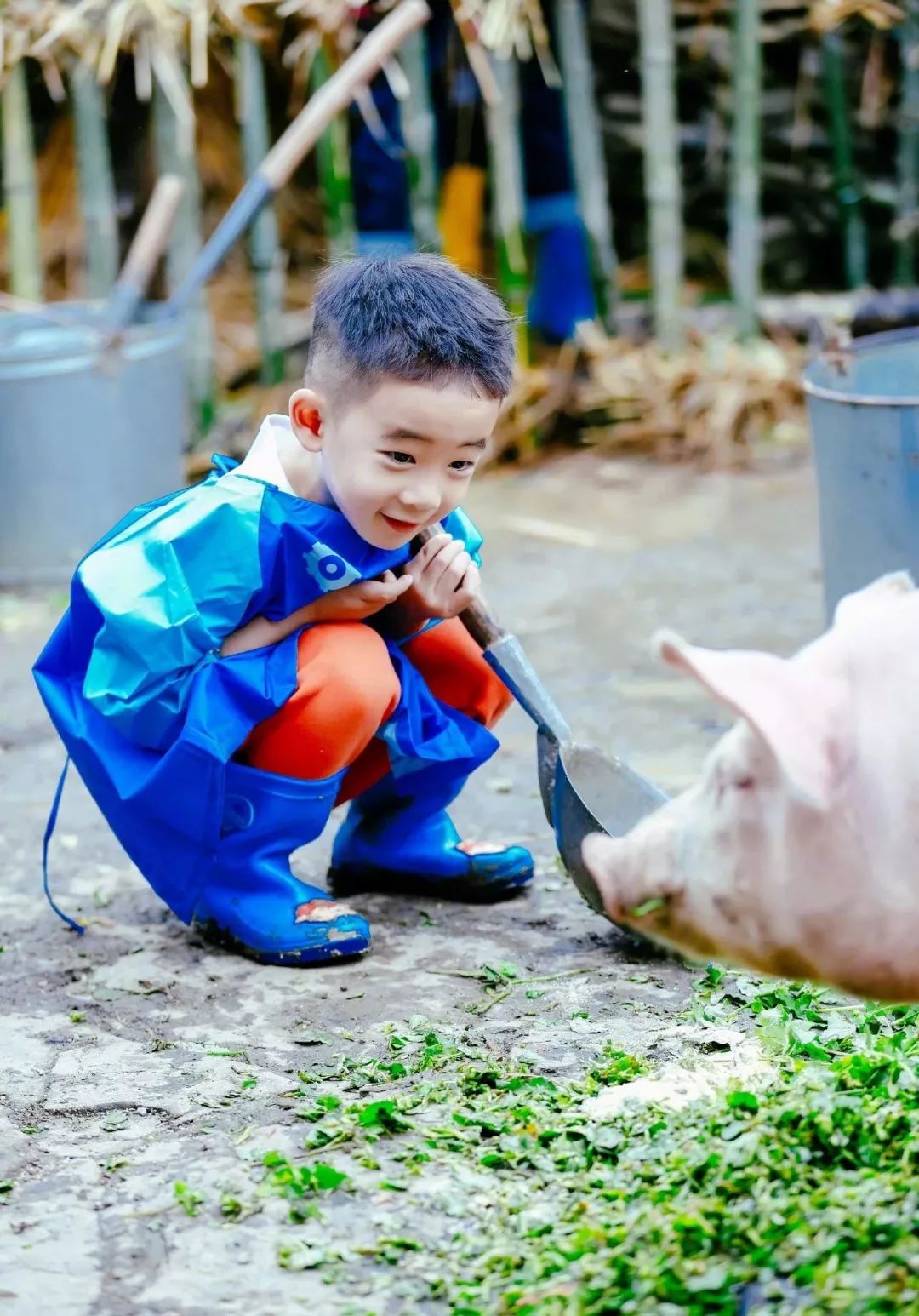 6岁Jasper被夸会做人：成人世界油腻的“高情商”，才配不上他