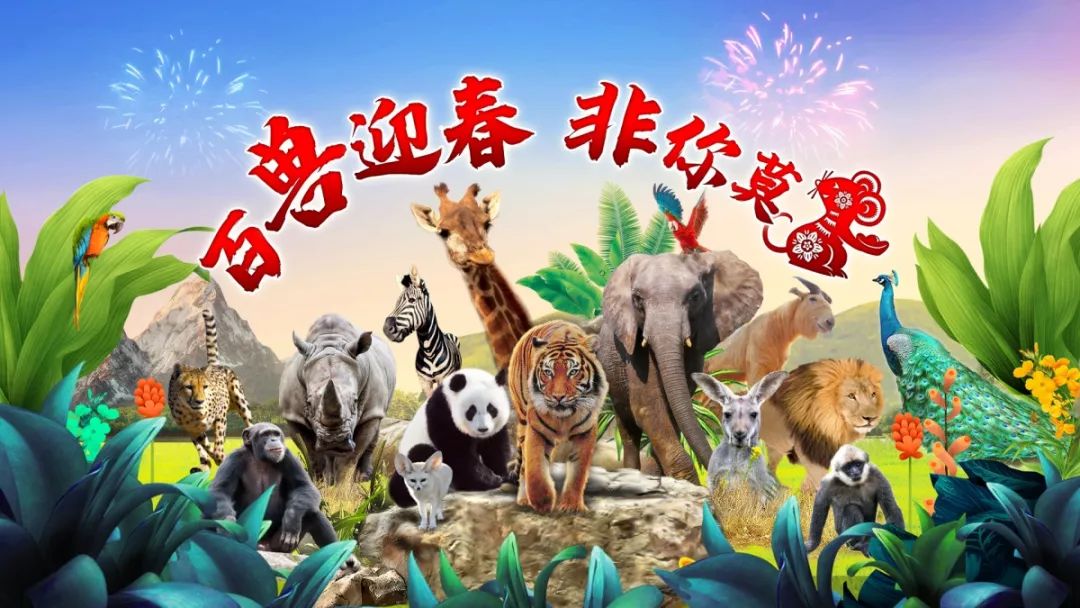 攻略‖赶紧收好上海野生动物园最新游园攻略