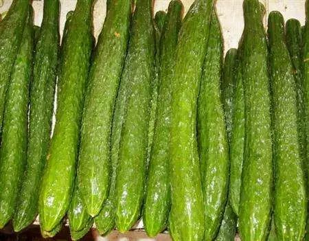 The word says old Beijing -- cucumber