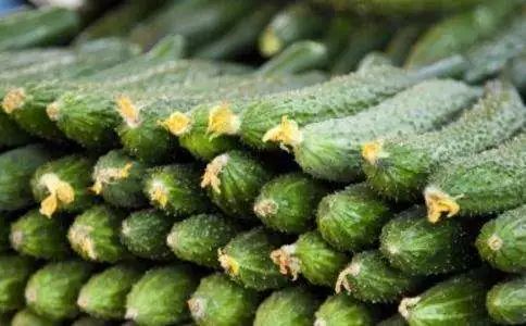 The word says old Beijing -- cucumber