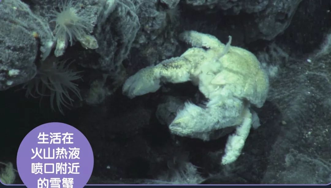 陸地的老大哥——海洋